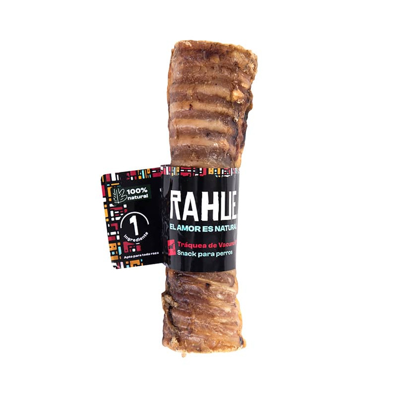 Rahue tráquea de vacuno 6′