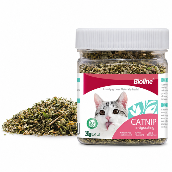 Bioline catnip 20 g
